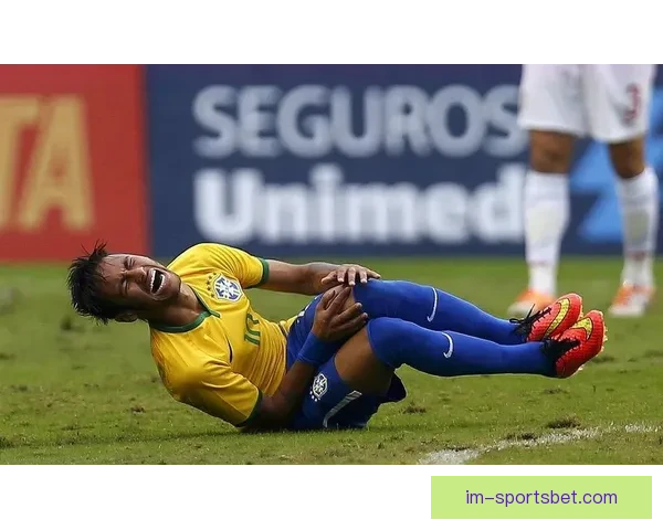 世界杯足球竞猜入口全方位解析助你轻松预测冠军赢取大奖